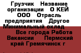 Грузчик › Название организации ­ О’КЕЙ, ООО › Отрасль предприятия ­ Другое › Минимальный оклад ­ 25 533 - Все города Работа » Вакансии   . Пермский край,Гремячинск г.